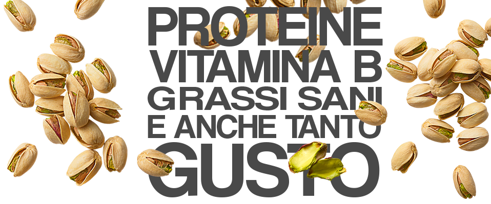 Protein, B Vitamins, Healthy fats and A Lot of TUM